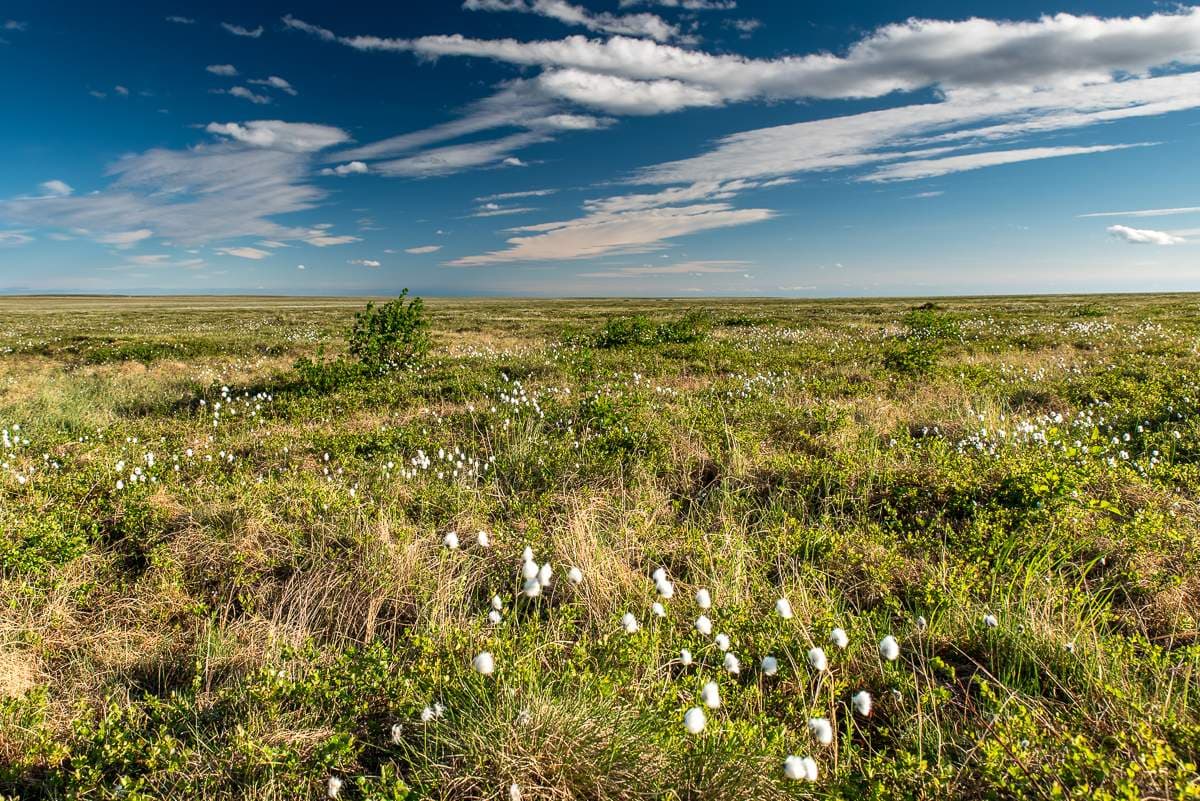 Фото условий