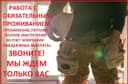 ИП Овчинников Дмитрий Юрьевич